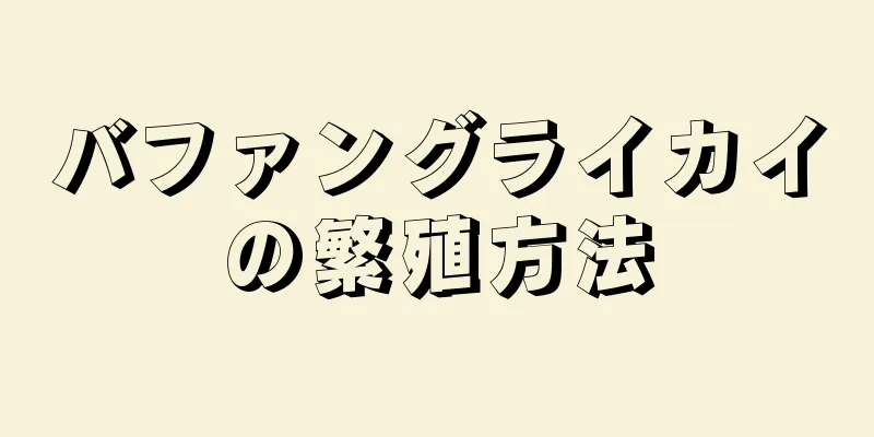 バファングライカイの繁殖方法
