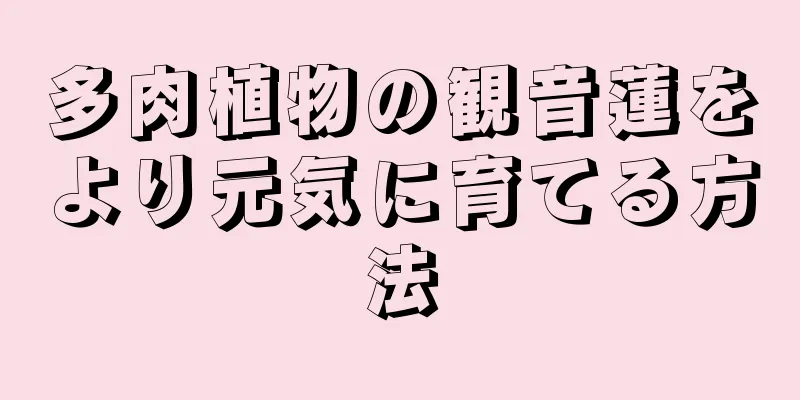 多肉植物の観音蓮をより元気に育てる方法