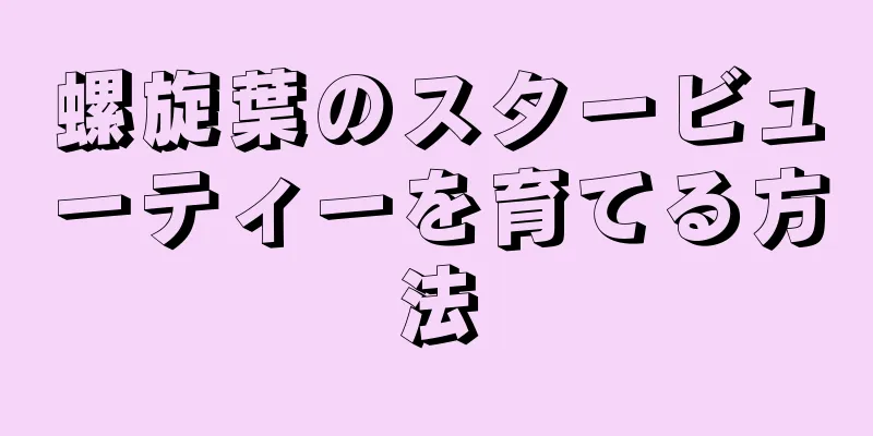 螺旋葉のスタービューティーを育てる方法
