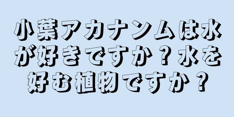 小葉アカナンムは水が好きですか？水を好む植物ですか？