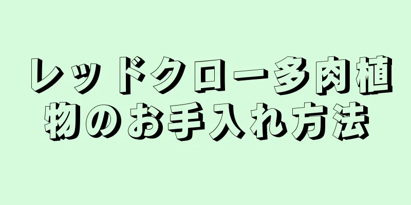 レッドクロー多肉植物のお手入れ方法