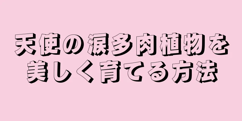 天使の涙多肉植物を美しく育てる方法