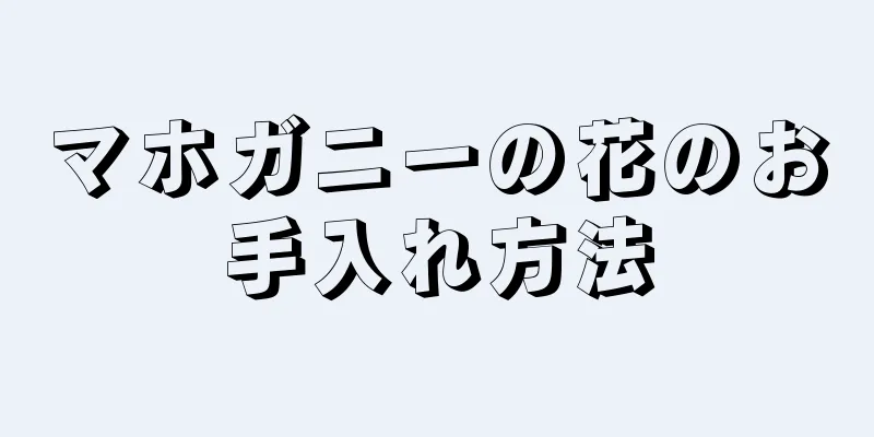 マホガニーの花のお手入れ方法