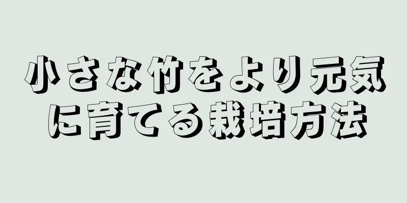 小さな竹をより元気に育てる栽培方法