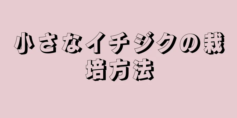 小さなイチジクの栽培方法