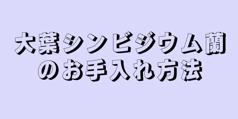 大葉シンビジウム蘭のお手入れ方法
