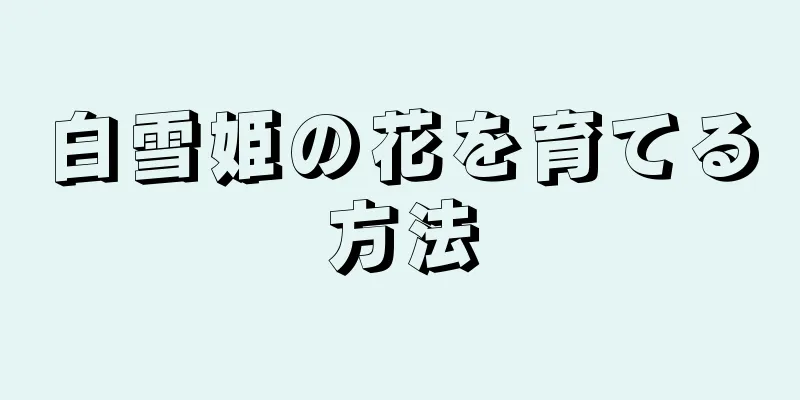 白雪姫の花を育てる方法