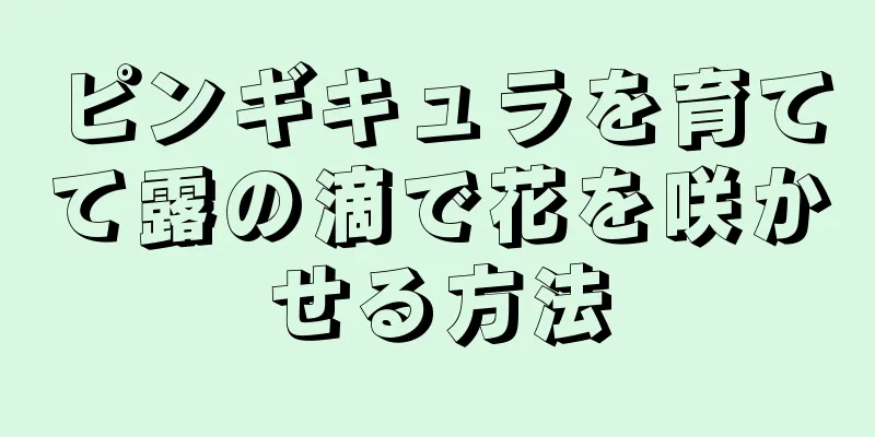 ピンギキュラを育てて露の滴で花を咲かせる方法