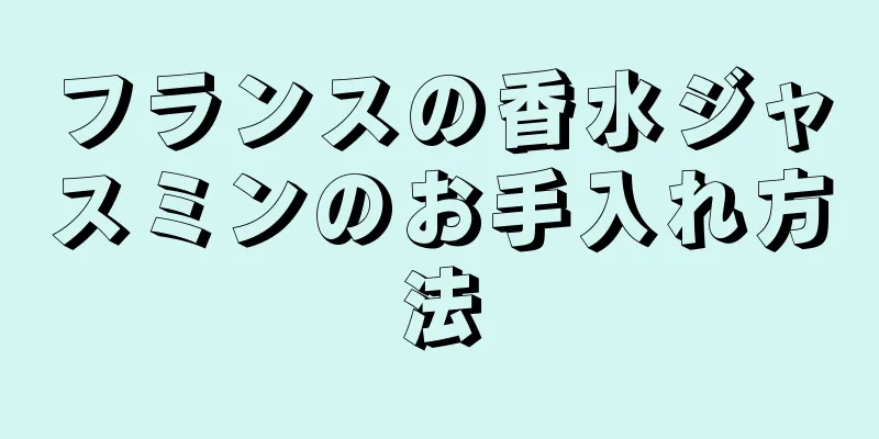 フランスの香水ジャスミンのお手入れ方法