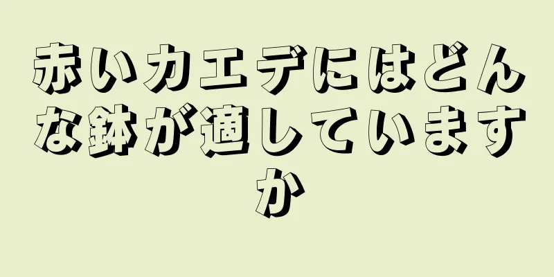赤いカエデにはどんな鉢が適していますか