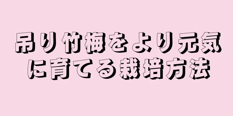 吊り竹梅をより元気に育てる栽培方法