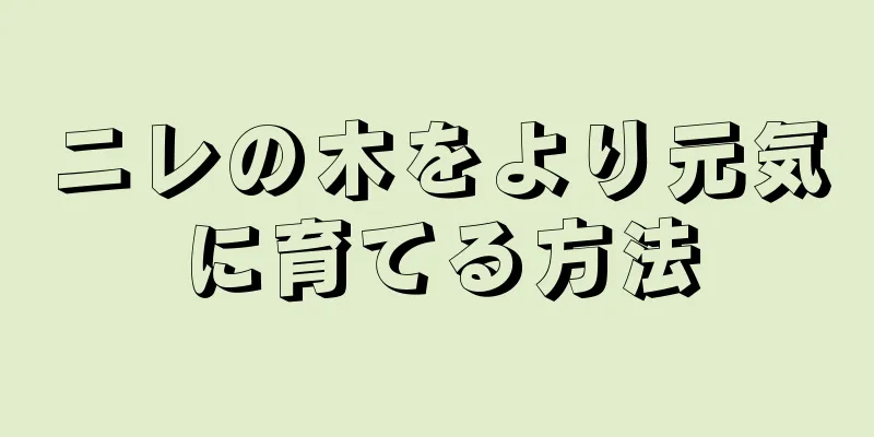 ニレの木をより元気に育てる方法