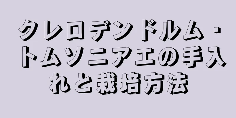 クレロデンドルム・トムソニアエの手入れと栽培方法