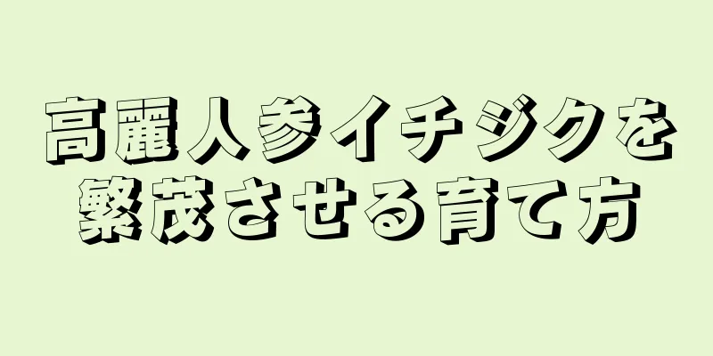 高麗人参イチジクを繁茂させる育て方