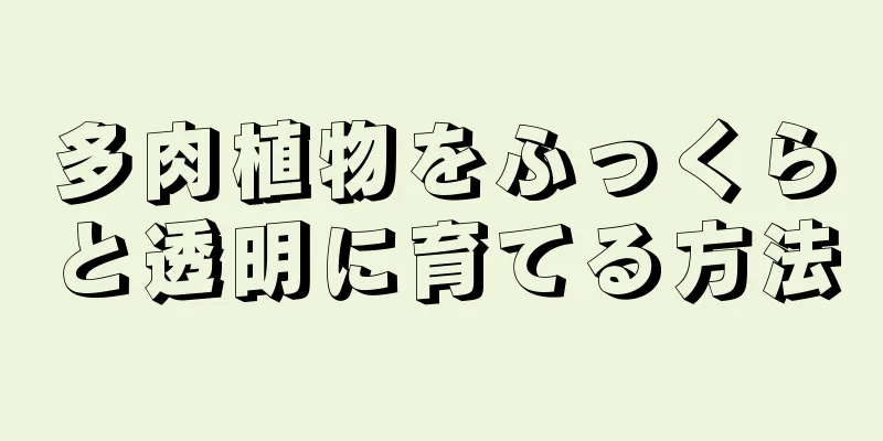 多肉植物をふっくらと透明に育てる方法