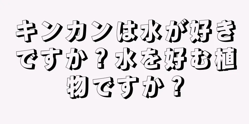 キンカンは水が好きですか？水を好む植物ですか？