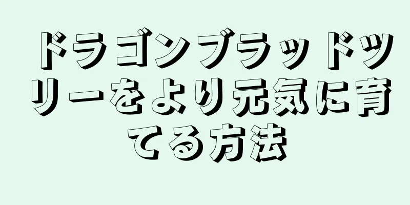 ドラゴンブラッドツリーをより元気に育てる方法