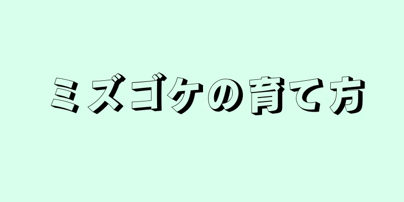 ミズゴケの育て方