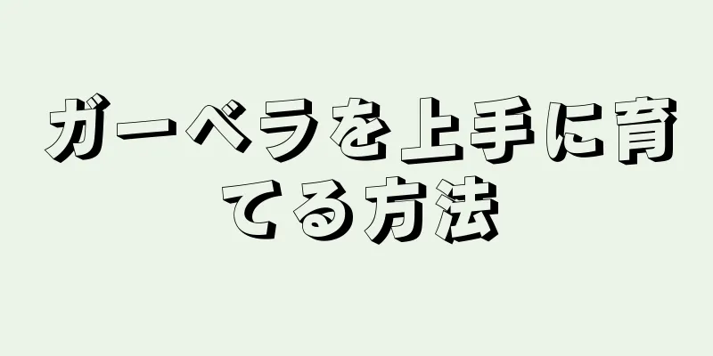 ガーベラを上手に育てる方法