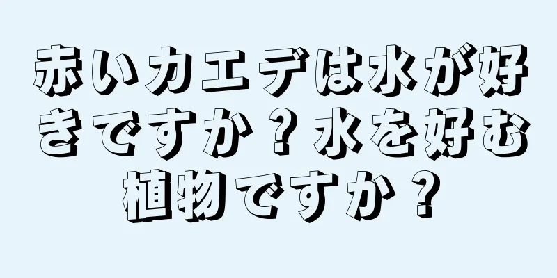 赤いカエデは水が好きですか？水を好む植物ですか？