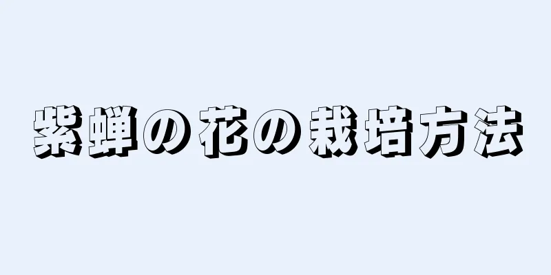 紫蝉の花の栽培方法