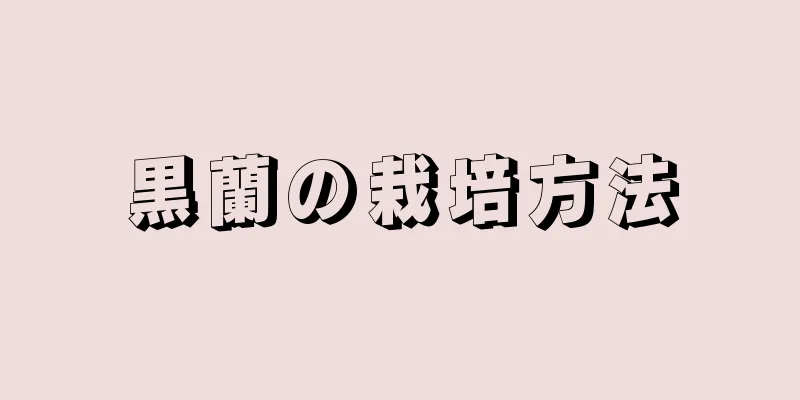 黒蘭の栽培方法