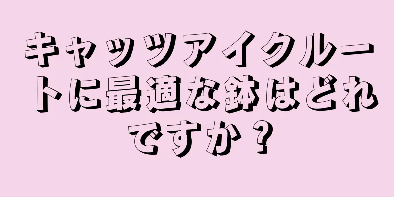 キャッツアイクルートに最適な鉢はどれですか？
