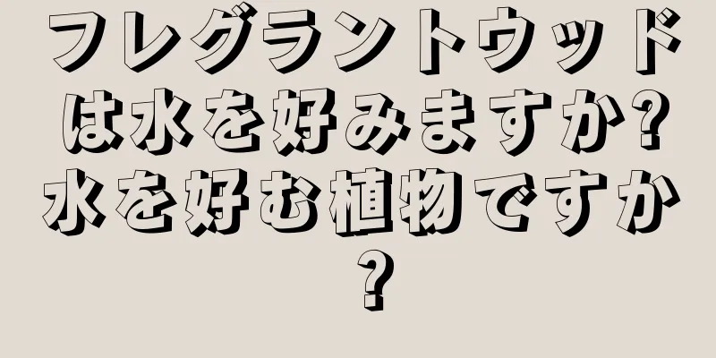 フレグラントウッドは水を好みますか?水を好む植物ですか？