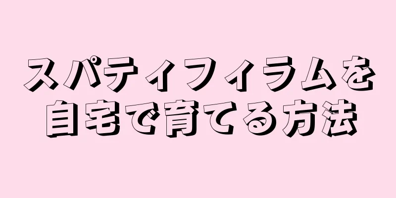 スパティフィラムを自宅で育てる方法