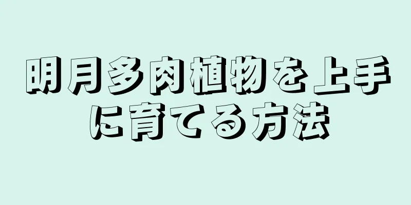 明月多肉植物を上手に育てる方法