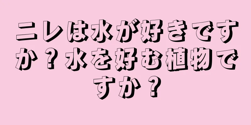 ニレは水が好きですか？水を好む植物ですか？