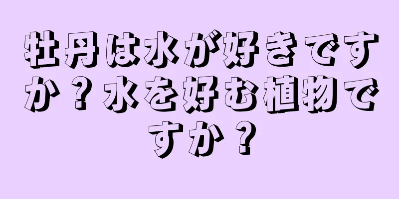牡丹は水が好きですか？水を好む植物ですか？