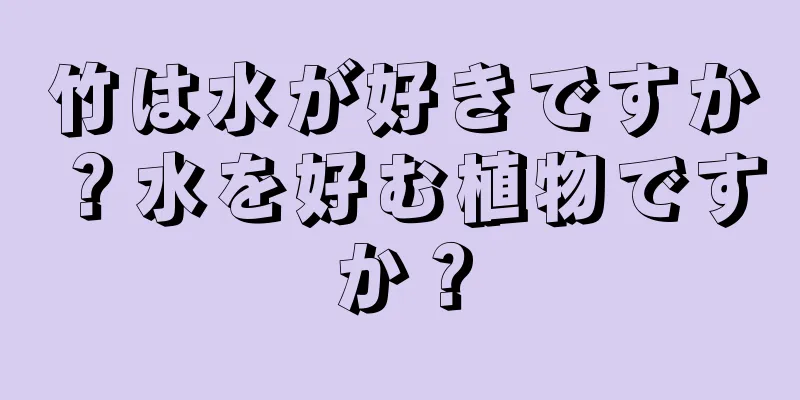 竹は水が好きですか？水を好む植物ですか？