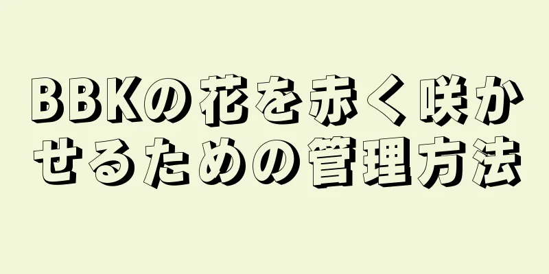 BBKの花を赤く咲かせるための管理方法