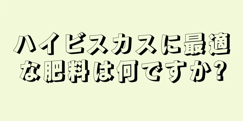 ハイビスカスに最適な肥料は何ですか?