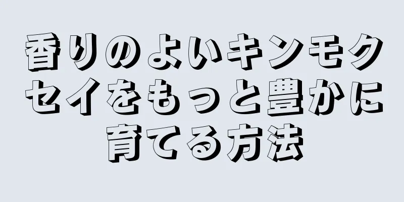 香りのよいキンモクセイをもっと豊かに育てる方法