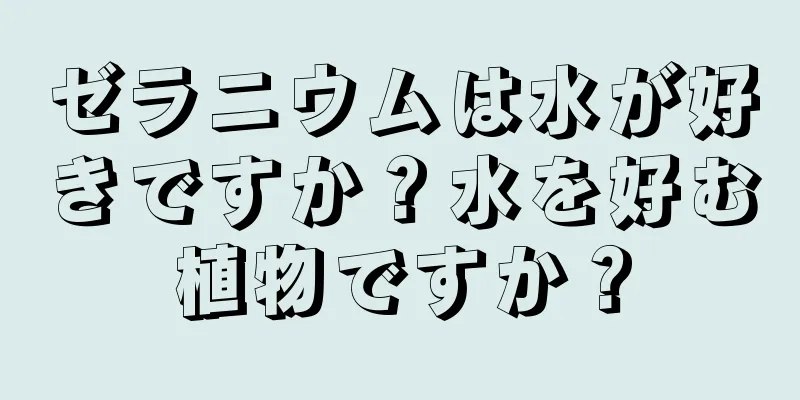 ゼラニウムは水が好きですか？水を好む植物ですか？