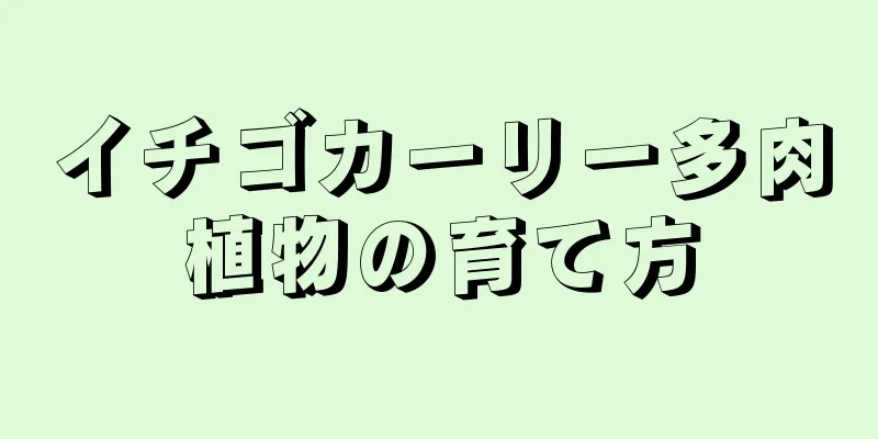イチゴカーリー多肉植物の育て方