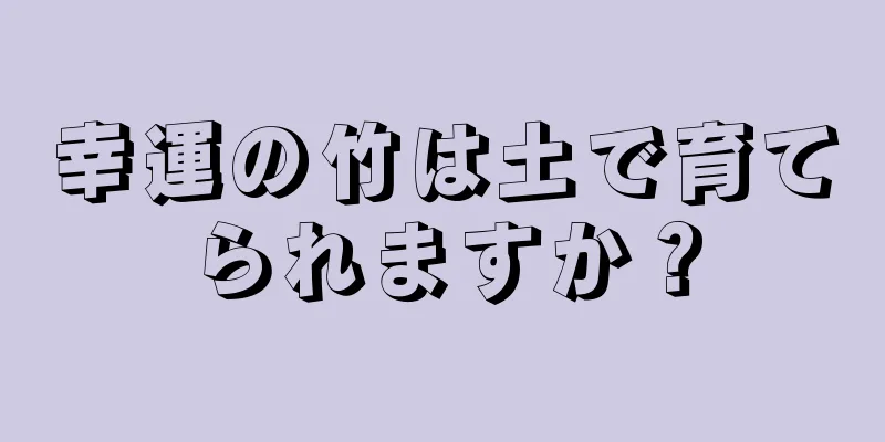 幸運の竹は土で育てられますか？
