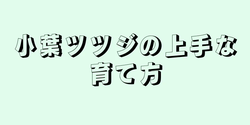 小葉ツツジの上手な育て方