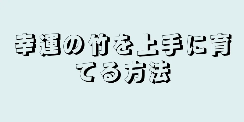 幸運の竹を上手に育てる方法