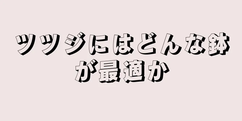 ツツジにはどんな鉢が最適か