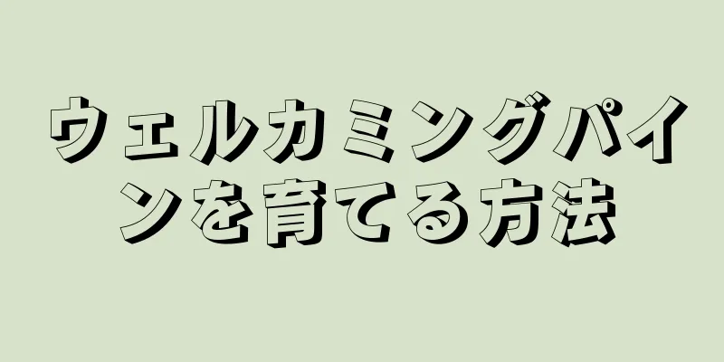 ウェルカミングパインを育てる方法