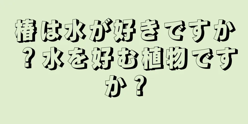 椿は水が好きですか？水を好む植物ですか？