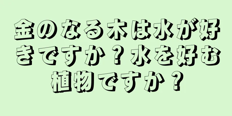 金のなる木は水が好きですか？水を好む植物ですか？