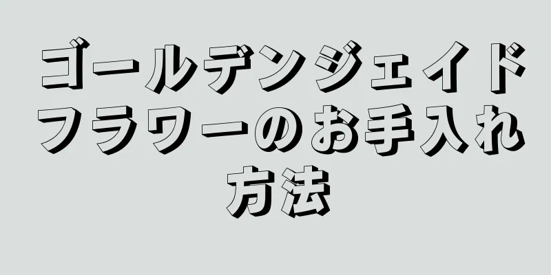 ゴールデンジェイドフラワーのお手入れ方法