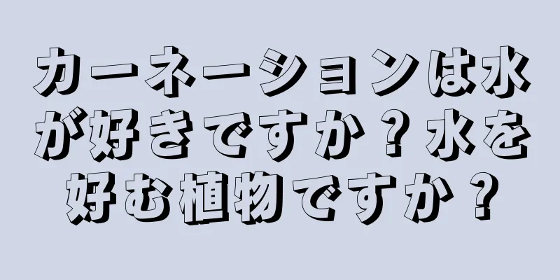 カーネーションは水が好きですか？水を好む植物ですか？