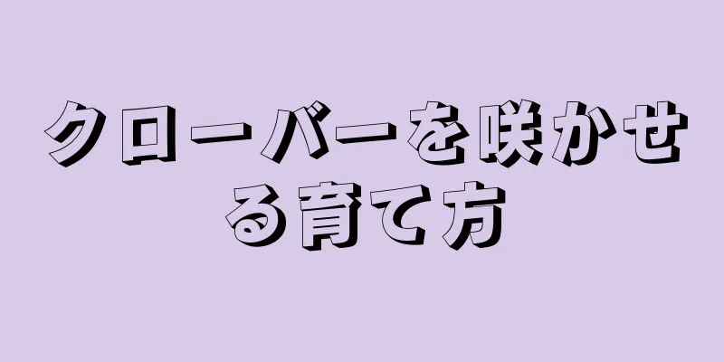 クローバーを咲かせる育て方