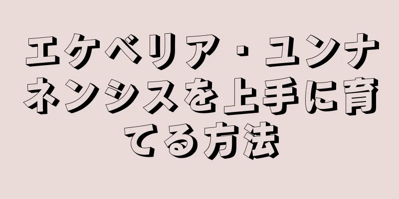 エケベリア・ユンナネンシスを上手に育てる方法
