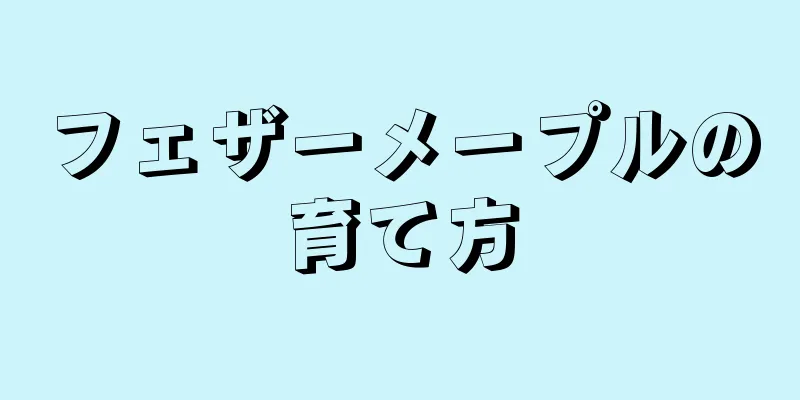 フェザーメープルの育て方